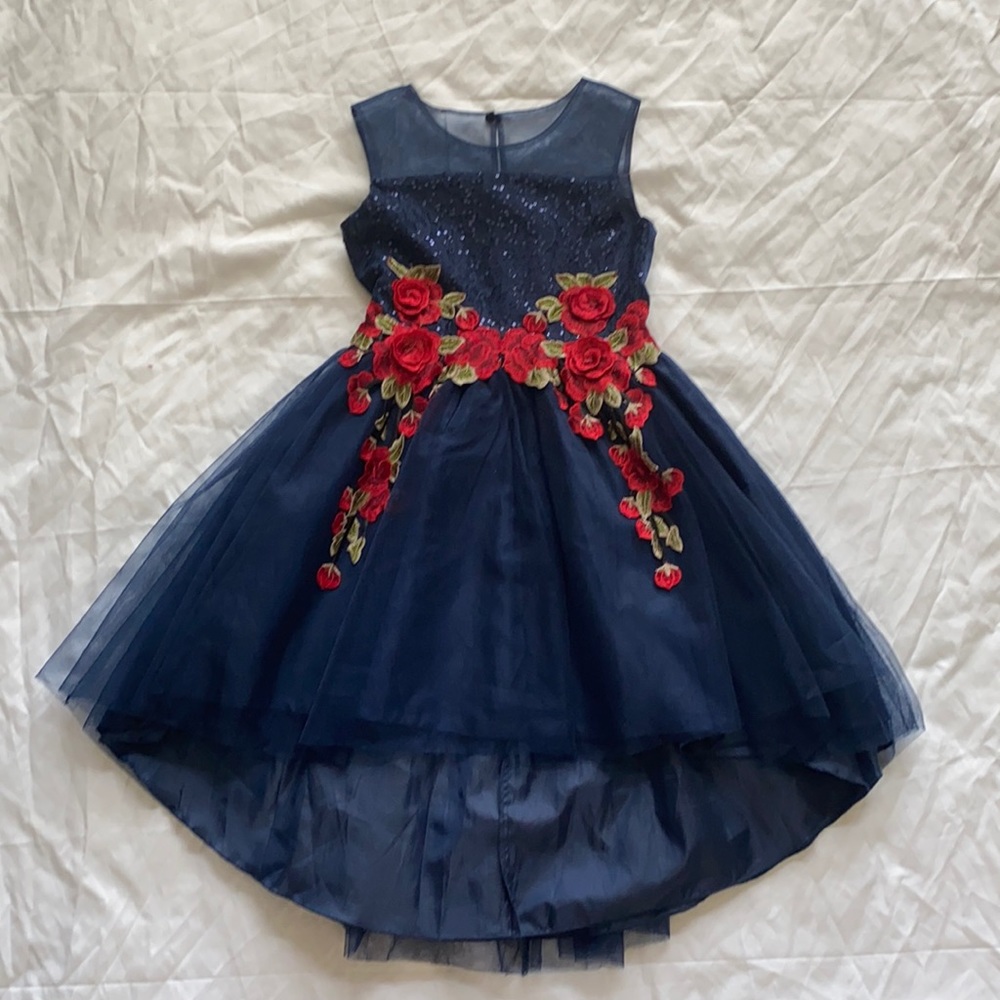 Nanette Laporte Girls dress, size 10-12.